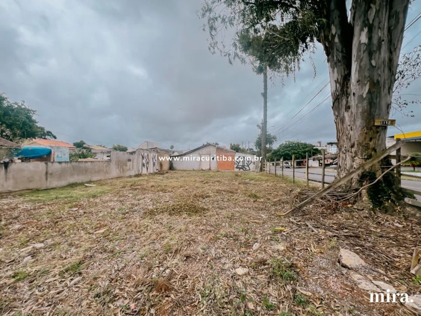 Terreno ideal para investidores no Novo Mundo