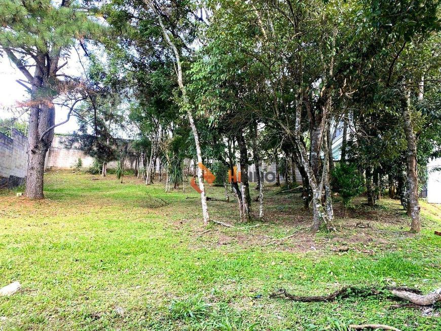 Terreno em condomínio no bairro Santa Feliciade