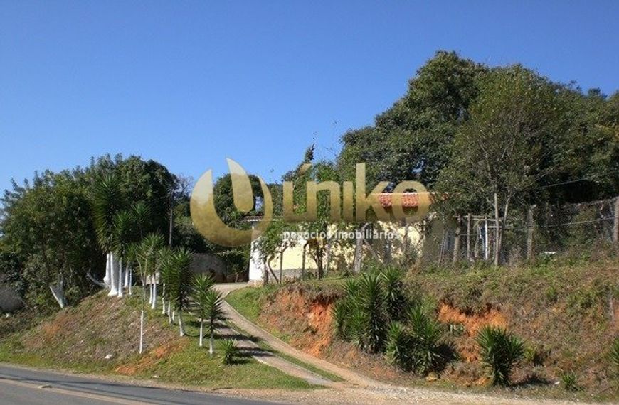 Lote/Terreno para venda tem 3886 metros quadrados em Abranches - Curitiba - PR