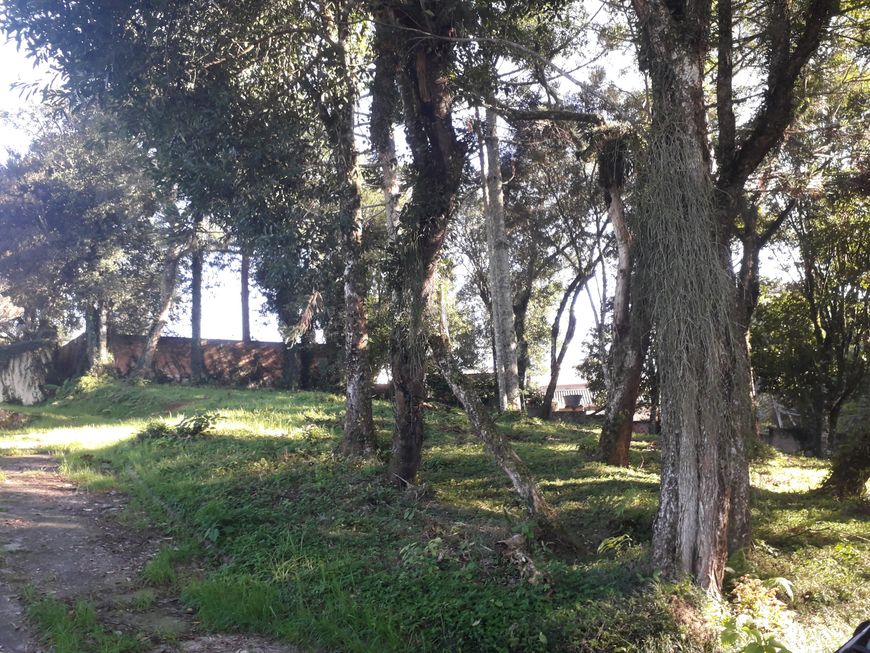 EXCELENTE ÁREA , ÓTIMA LOCALIZAÇÃO -BAIRRO PILARZINHO !! PREZADOS, SÓ ENVIAMOS DOCUMENTAÇÕES SOMENTE