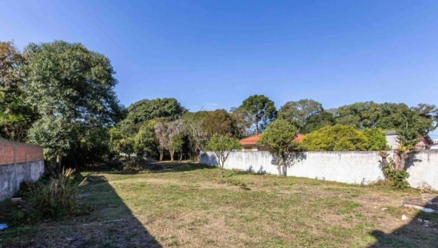 Terreno de rua no bairro Orleans em Curitiba - PR