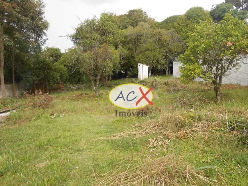 Terreno à venda, 1938 m² por R$ 3.150.000,00 - Orleans - Curitiba/PR
