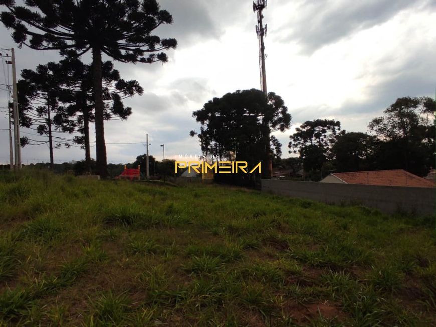 Reserva Bonvini - Terreno em condomínio clube no Santa Candida - 193m²