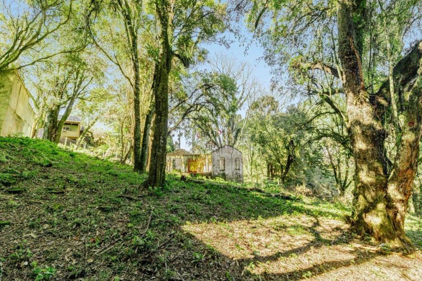 TERRENO À VENDA NO PILARZINHO COM 582,84 M²