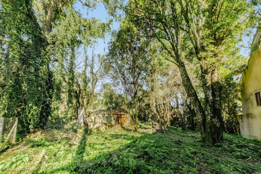 TERRENO À VENDA NO PILARZINHO COM 582,84 M²
