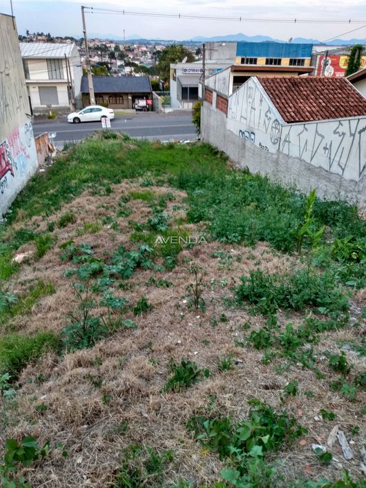 Terreno panorâmico 10 x 50 em ótima localização no Bairro Alto
