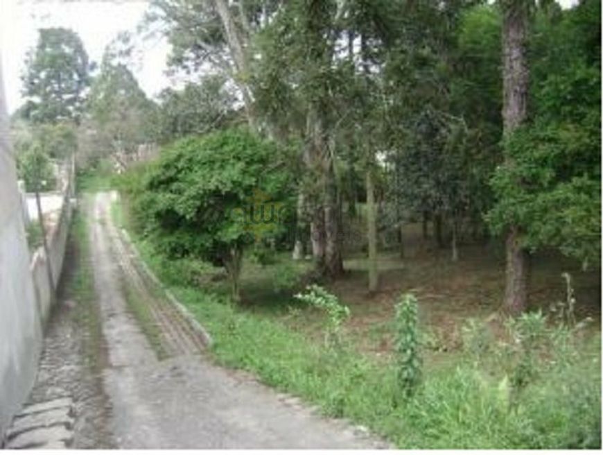 Terreno para Venda em Uberaba Curitiba-PR