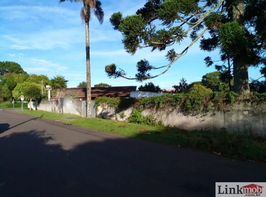 Terreno ZR3 com 506,92m² no Bairro do Portão
