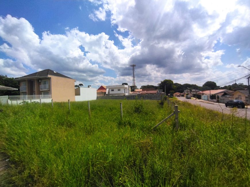 Terreno para venda tem 803 metros quadrados em Butiatuvinha - Curitiba - PR