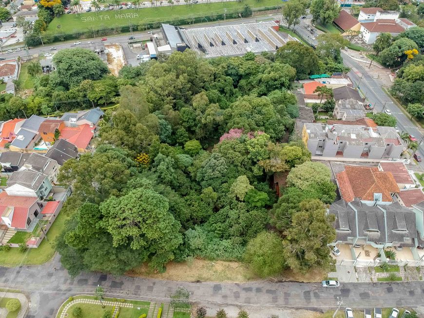 Raridade de terreno no São Lourenço!