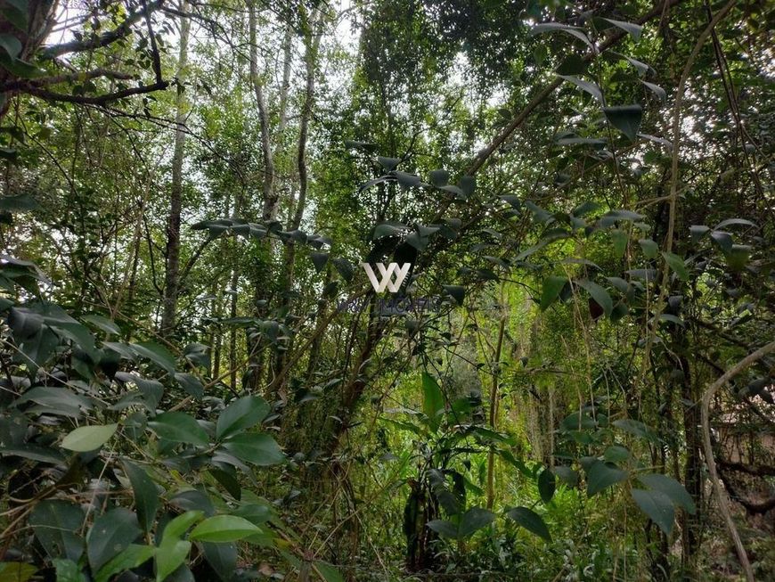 Terreno no São Lourenço / Ahu em Curitiba