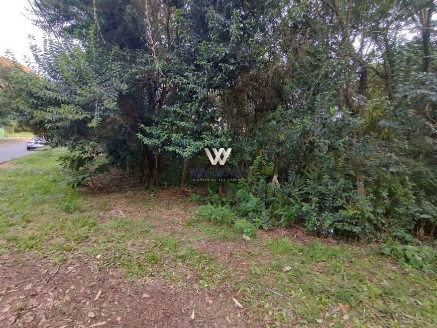 Terreno no São Lourenço / Ahu em Curitiba