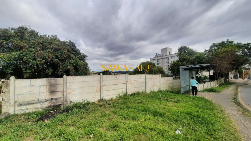 Terreno no Tingui AV Mário Tourinho