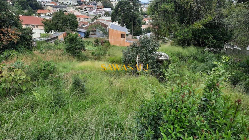 Terreno no Tingui AV Mário Tourinho