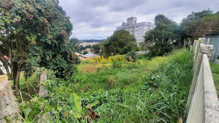 Terreno no Tingui AV Mário Tourinho