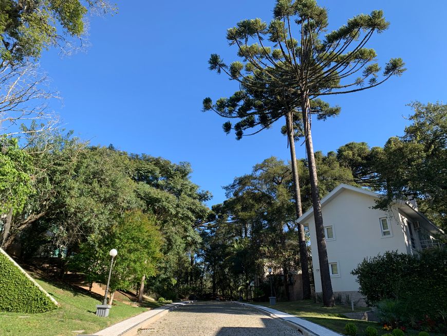 Terreno em condomínio exclusivo para venda com 1039 m2 em Santa Felicidade - Curitiba
