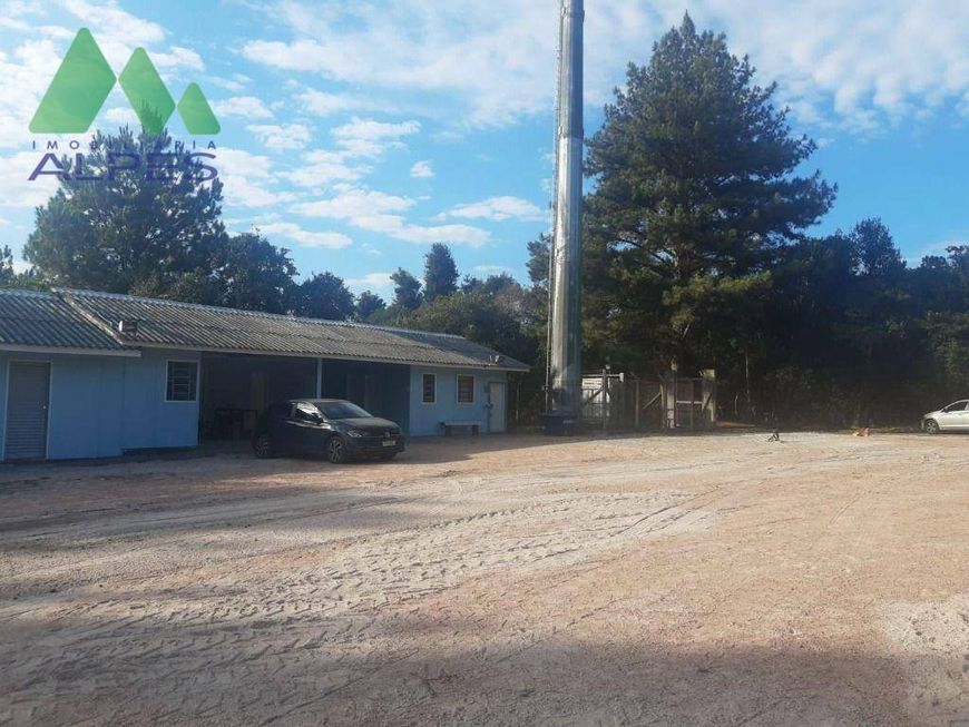 Terreno com barracão para alugar, 4032 m² por R$ 7.306/mês - Santa Felicidade - Curitiba/PR