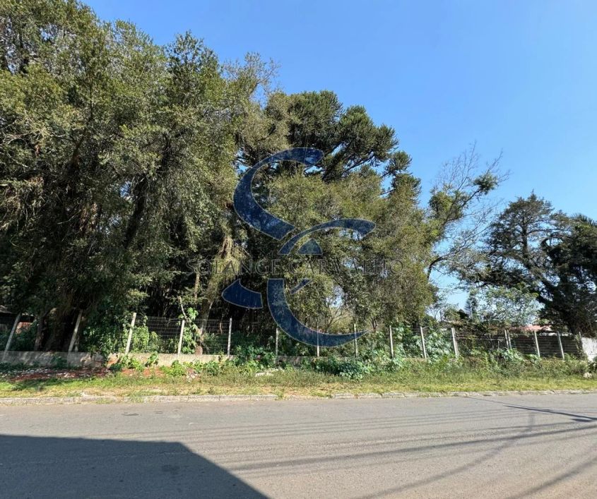 TERRENO NO UMBARÁ