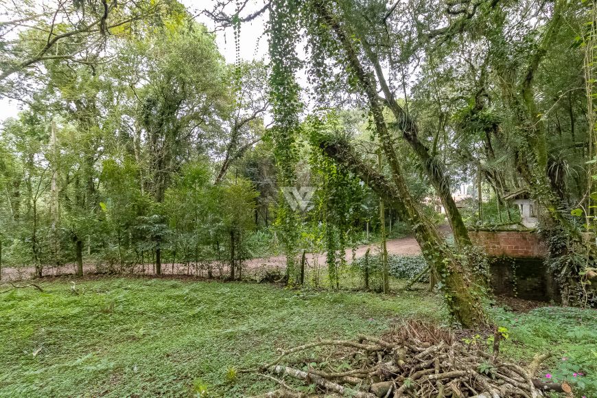Terreno em Santa Felicidade - área de 745m² totais