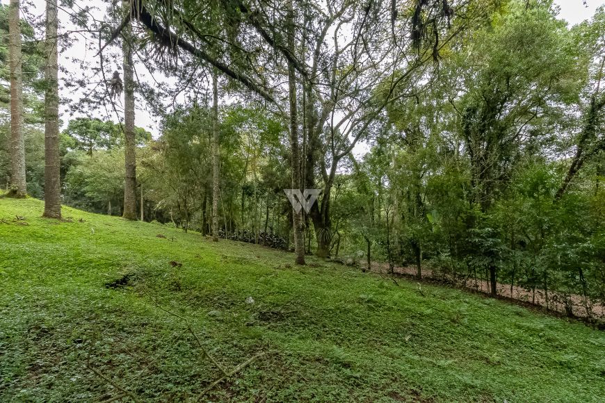 Terreno em Santa Felicidade - área de 745m² totais