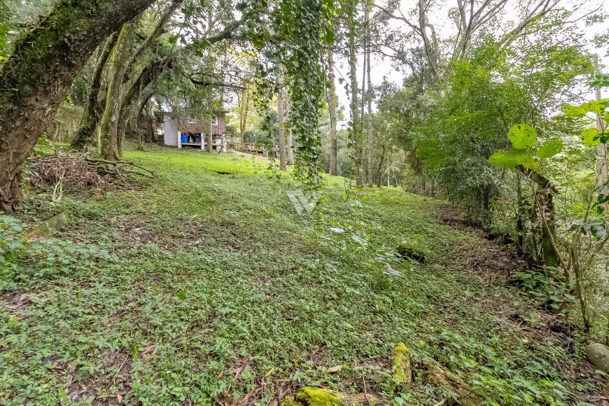 Terreno em Santa Felicidade - área de 745m² totais