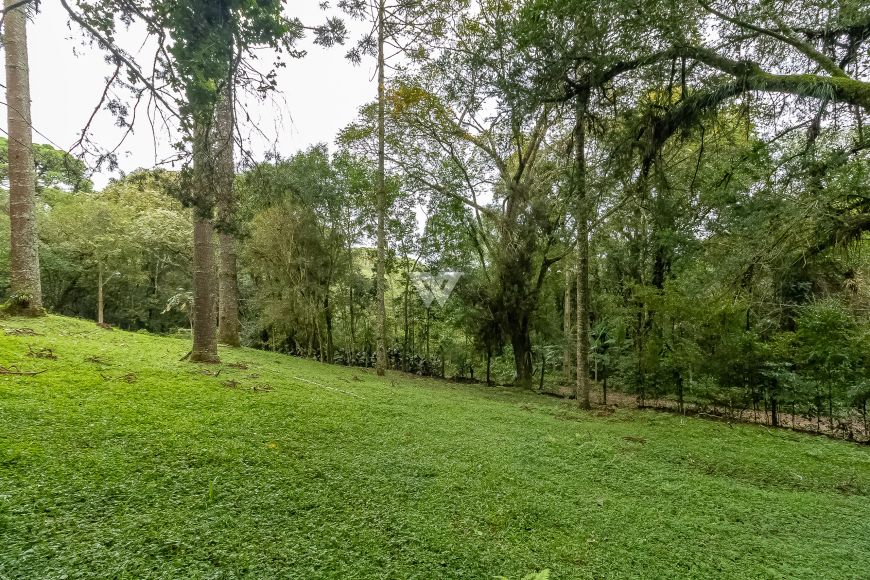 Terreno em Santa Felicidade - área de 745m² totais