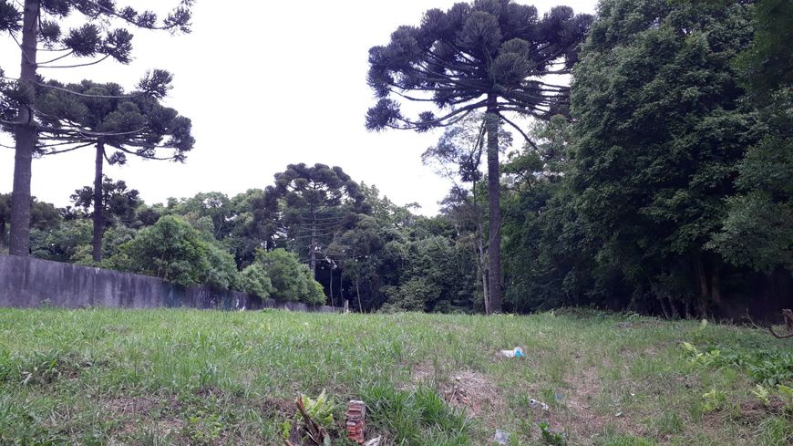 Terreno plano, seco e com 2 frentes