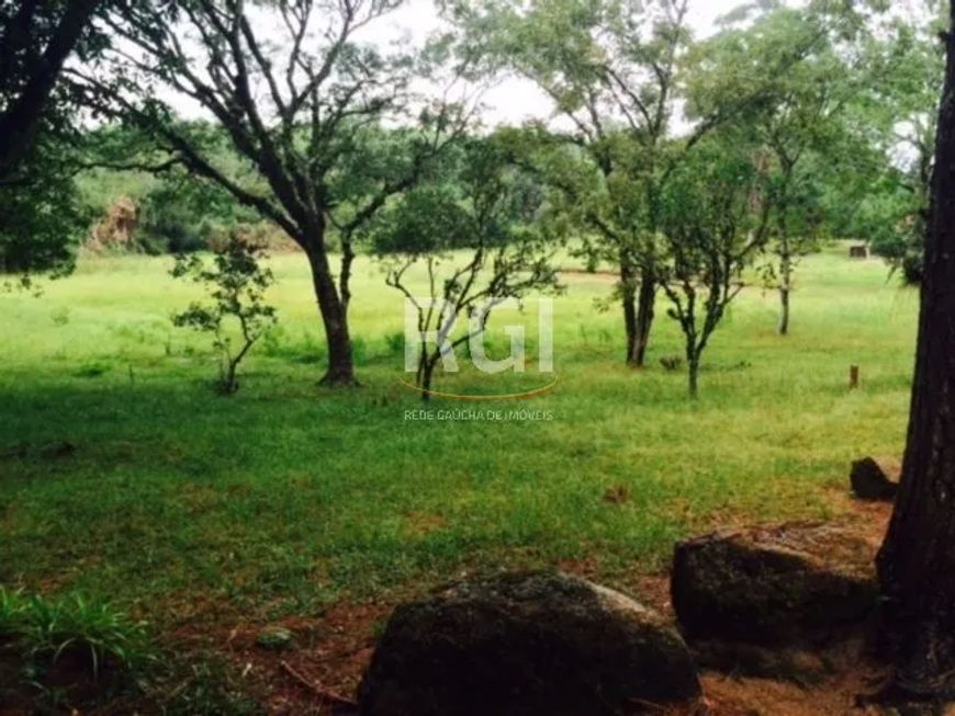 SÍTIO com 80,6 hectares, apenas à 30Km da rótula da Carlos Gomes, na antiga estrada do Espigão.Possu