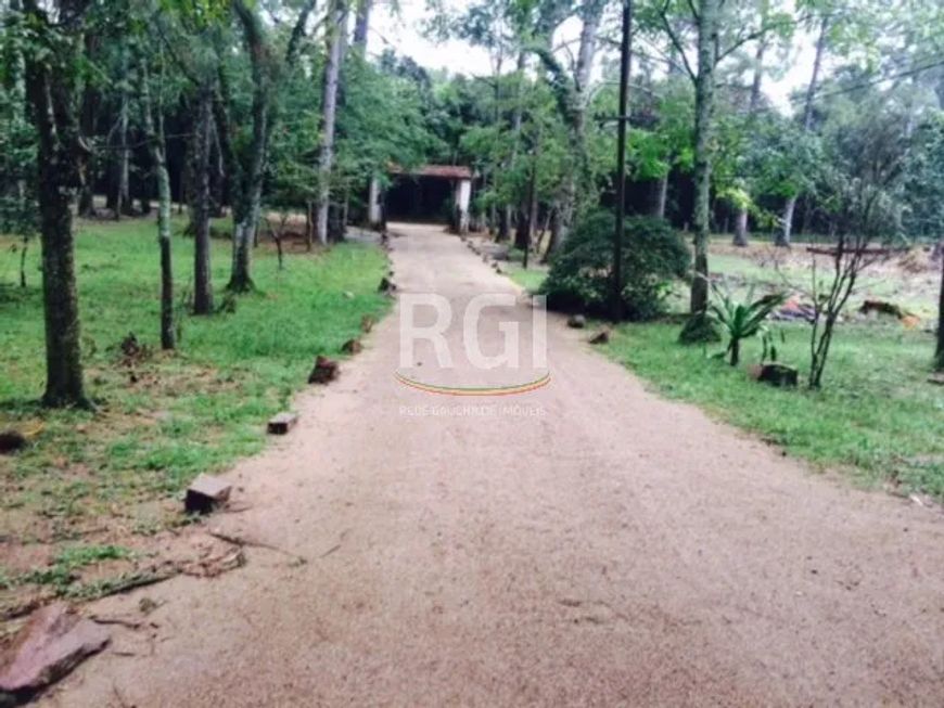 SÍTIO com 80,6 hectares, apenas à 30Km da rótula da Carlos Gomes, na antiga estrada do Espigão.Possu
