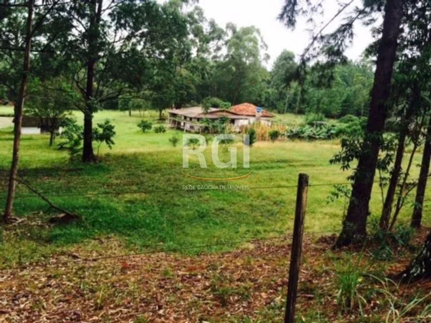 SÍTIO com 80,6 hectares, apenas à 30Km da rótula da Carlos Gomes, na antiga estrada do Espigão.Possu