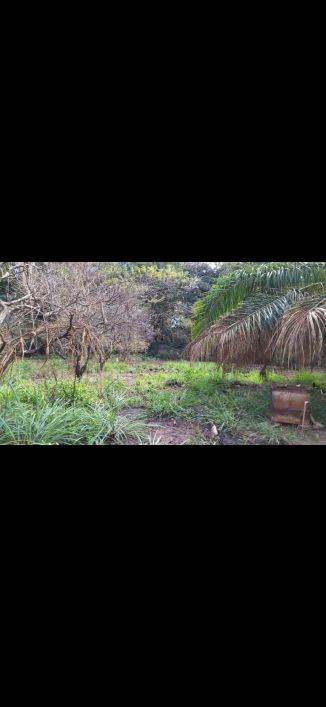 Area de 5.000m² ao lado do Clube Ferreira Pacheco Área / Terreno à Venda, 600 por R$ 4.000.000 no se
