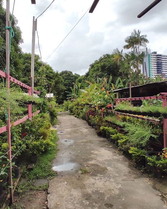 Terreno, 3000 m² - venda por R$ 18.000.000,00 ou aluguel por R$ 75.000,00/mês - Umarizal - Belém/PA