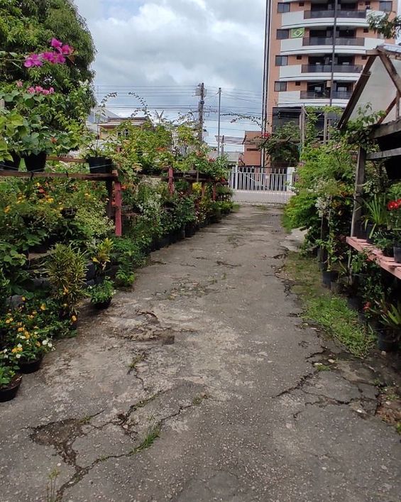 Terreno, 3000 m² - venda por R$ 18.000.000,00 ou aluguel por R$ 75.000,00/mês - Umarizal - Belém/PA