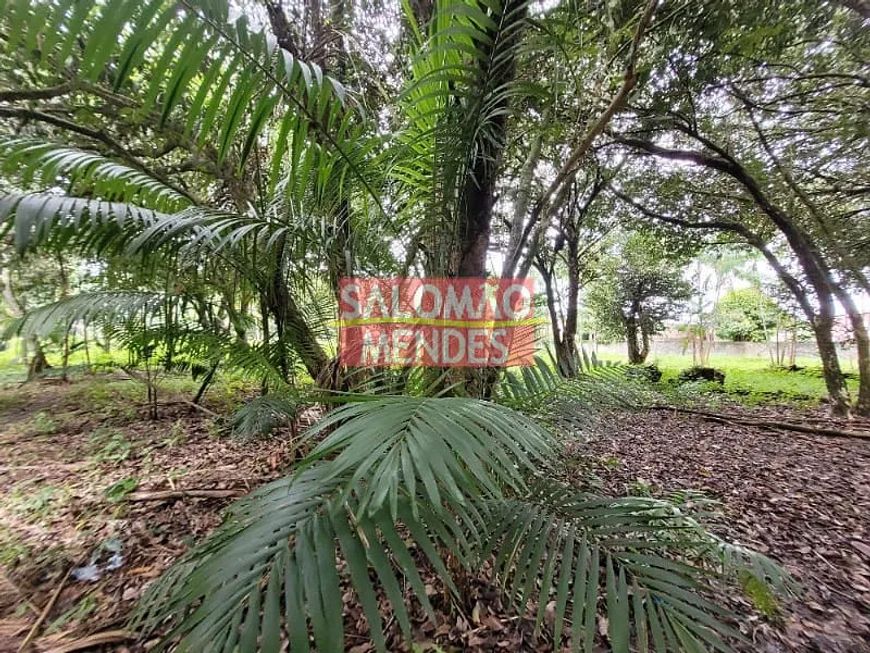 Terreno à venda/locação 35000M², Rodovia do Tapanã px a Augusto Mointeegro