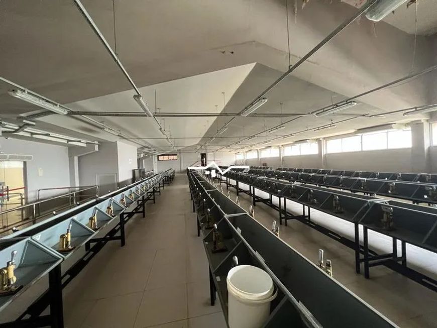 GALPÃO BELÉM - PA