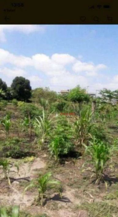 Área à venda, 6000 m² por R$ 13.000.000,00 - Jardim Presidente Dutra - Guarulhos/SP