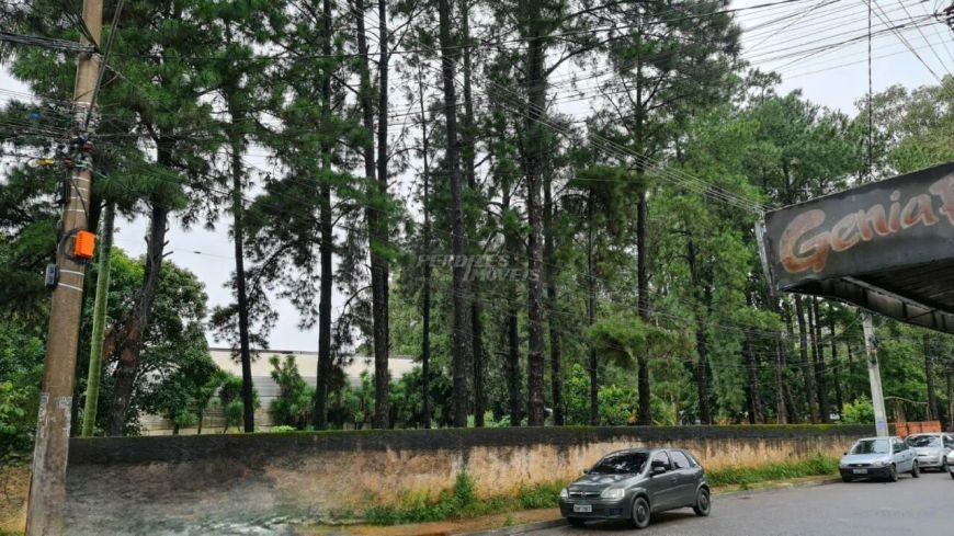 Excelente Terreno com 6.000 m² à Venda no Jardim Ponte Alta, Guarulhos